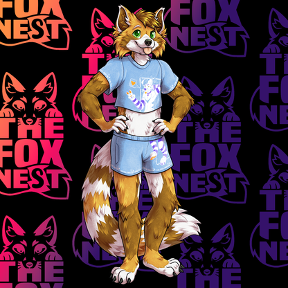 Femboy - Fox Outfit