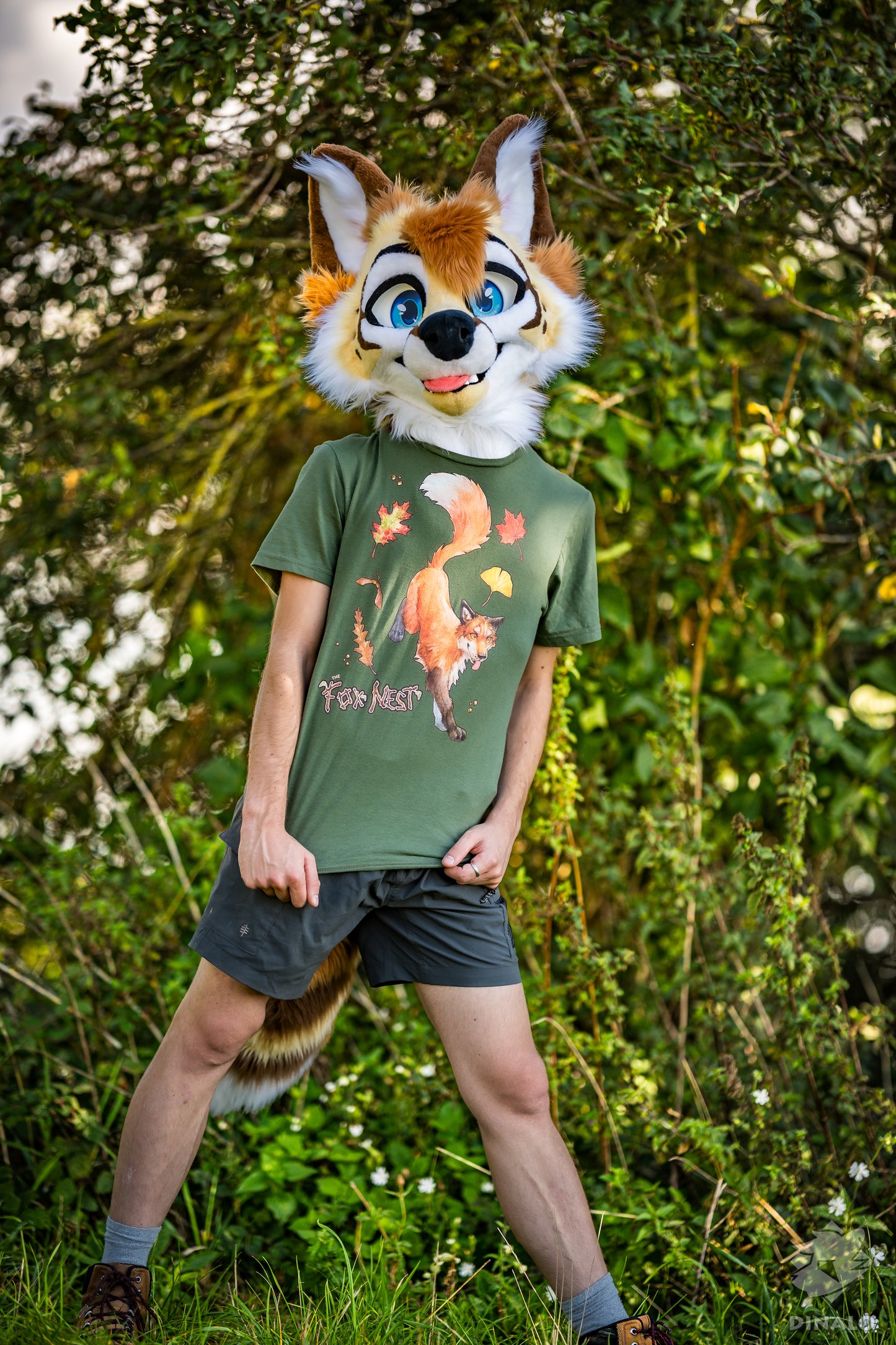 Fall 2025 - Fox Short Sleeves Shirt